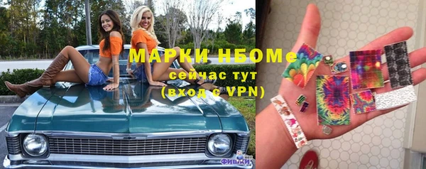 мет Алексин