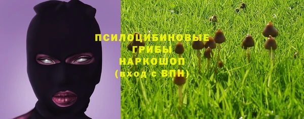 мет Алексин