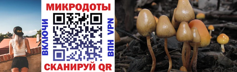 Галлюциногенные грибы Magic Shrooms  Хотьково 